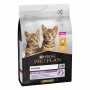 Cat Kitten Healthy Start Poulet