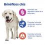 Vet Essentials Chien Multi-Benefit Adult + Large Breed Agneau & Riz