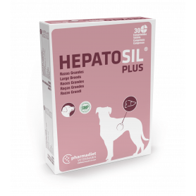 Hepatosil Plus Grandes races