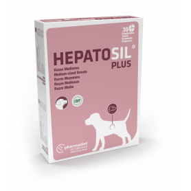 Hepatosil Plus Races moyennes