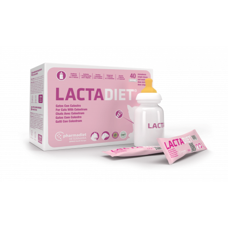 Lactadiet Colostrum Chat