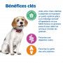 Vet Essentials Chien Multi-Benefit + Weight  Adult 1+ Medium Poulet