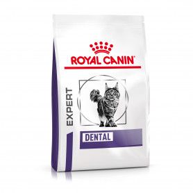 Croquette Royal Canin Dental chat - Veterinary Diet Cat Dental S/O