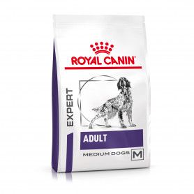 Croquettes Royal Canin Adult medium Dog