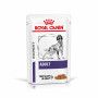 Dog Adult  Sachet repas