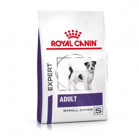 Croquette Royal Canin Adult Small Dog, chiens de petites races