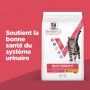 Vet Essentials Chat Multi-Benefit Adult + Poulet