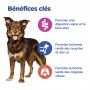 Vet Essentials Chien Multi-Benefit Adult + Medium Agneau & Riz