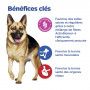 Vet Essentials Chien Multi-Benefit + Digestion Adulte+ Large Breed