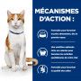 Chat On-Care Poulet