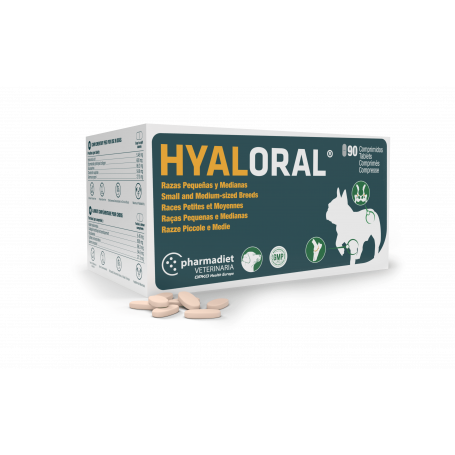 Hyaloral Chiot, petites et moyennes races