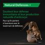 Pro Plan Natural Defences + Chat