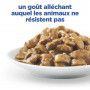 Vet Essentials Chat Multi-Benefit Mature Adulte 7+ Poulet Sachet repas