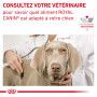 Veterinary Health Nutrition Dog Cardiac