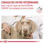 Veterinary Health Nutrition Dog Cardiac Boîte