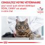 Cat Renal Poulet Mousse Sachet repas