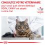 Veterinary Health Nutrition Cat Renal Boeuf sachet repas