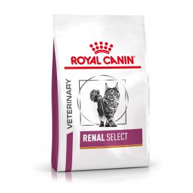 Croquettes Veterinary Health Nutrition Cat Renal Select