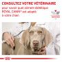 Veterinary Health Nutrition Dog Renal Special Boîte