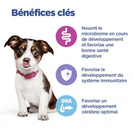 Vet clearance essentials puppy