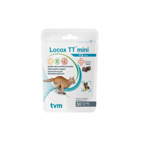 Locox TT Mini