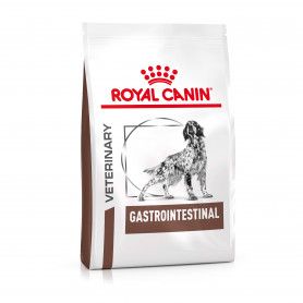 Croquettes Dog Gastro Intestinal Royal Canin pour chien troubles digestifs