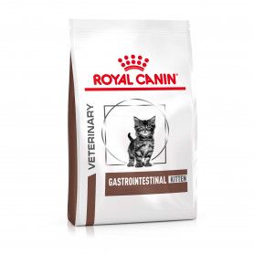 Croquettes Royal Canin gastro intestinal chaton