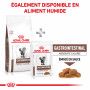 Cat gastro Intestinal Moderate Calorie