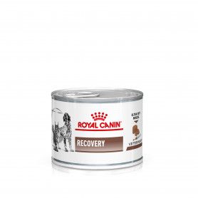 Royal Canin Dog/Cat Recovery Boîte