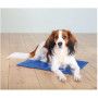 Tapis rafraîchissant chien