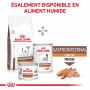 Dog Gastro Intestinal Low Fat Small Dog