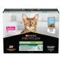 Cat Adult Sterilised Cabillaud Terrine Sachet repas