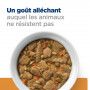 Chien k/d j/d Kidney + Mobility Mijotés Poulet&Légumes Boîte