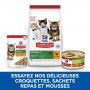 Chat Kitten and Mother Mousse Poulet & Dinde Boîte
