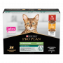 Cat Adult Sterilised Maintenance Bœuf &Poulet sachet repas