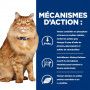 Chat k/d j/d Kidney + Mobility Mijotés Poulet&Légumes Boîte