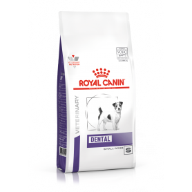 Dog Dental Small Dog Veterinary Health Nutrition