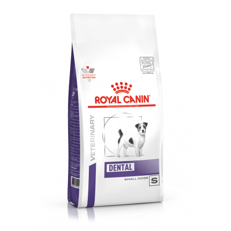 Dog Dental Small Dog Veterinary Health Nutrition