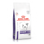 Dog Dental Small Dog Veterinary Health Nutrition