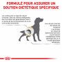 Dog Urinary UC Low Purine