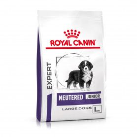 Croquette Royal Canin Neutered Junior Large Dog, croissance