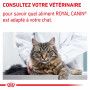 Cat Mature Consult Sachet repas