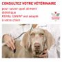 Veterinary Health Nutrition Dog Urinary S/O Boîte