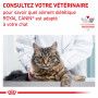 Veterinary Health Nutrition Cat Diabetic