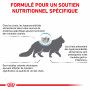 Veterinary Health Nutrition Cat Anallergenic