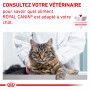 Veterinary Health Nutrition Cat Anallergenic