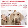 Veterinary Health Nutrition Dog Sensitivity Poulet Boîte