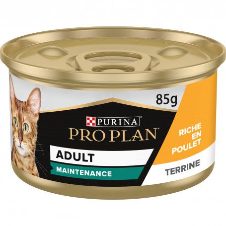 Cat Adult Maintenance