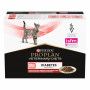 Ppvd Feline DM Stox Diabetes Beef sachet repas