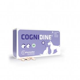 Cognidine